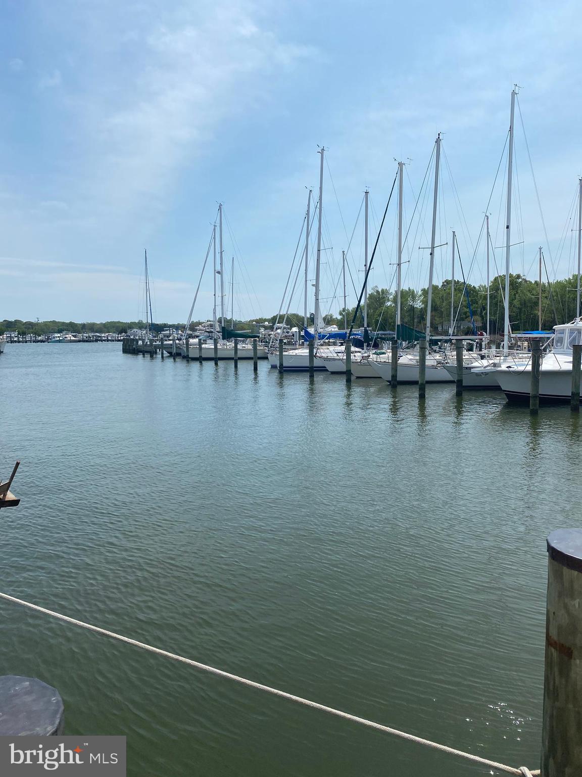 SELBY ON THE BAY - Residential