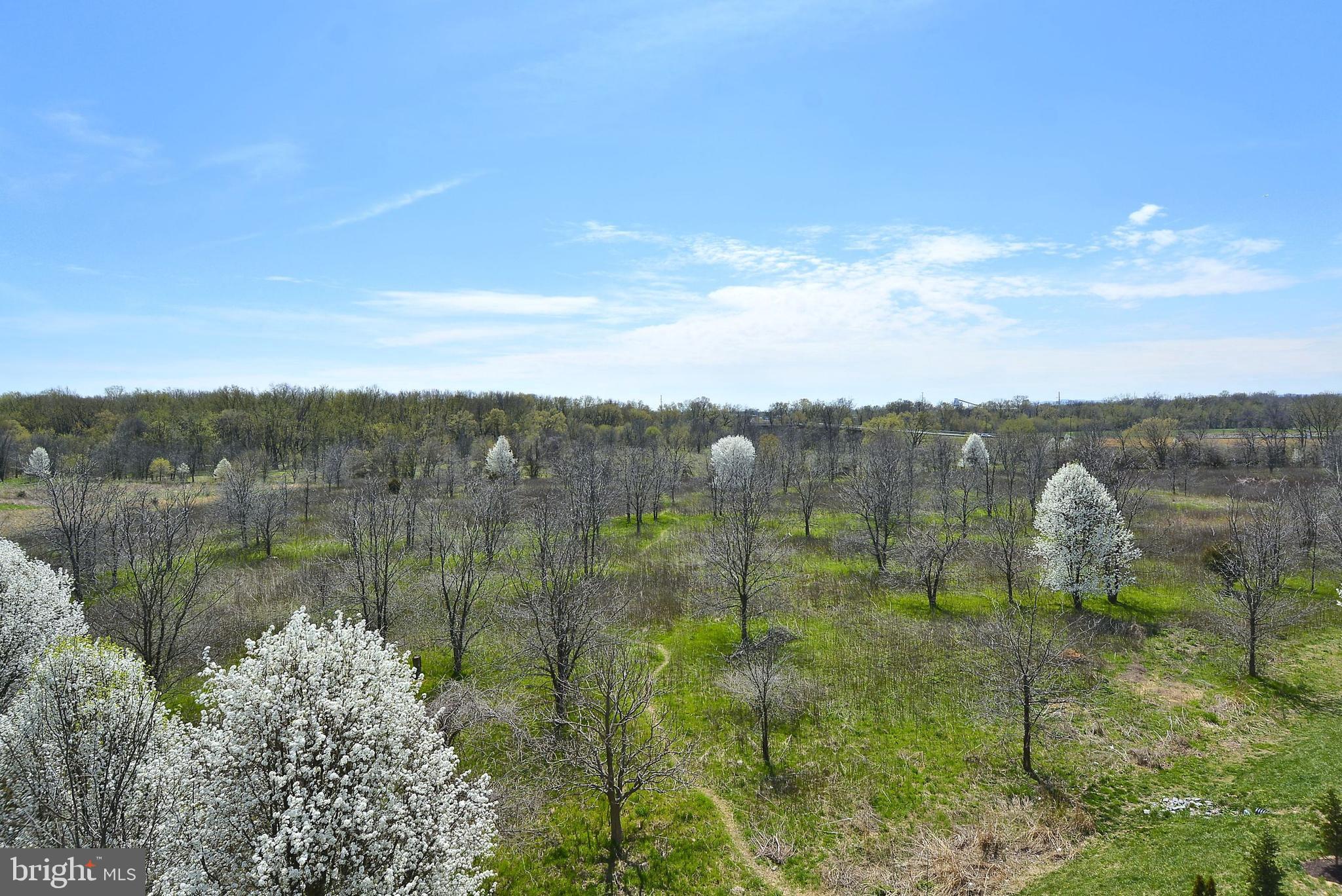 MONOCACY PARK SOUTH - Residential