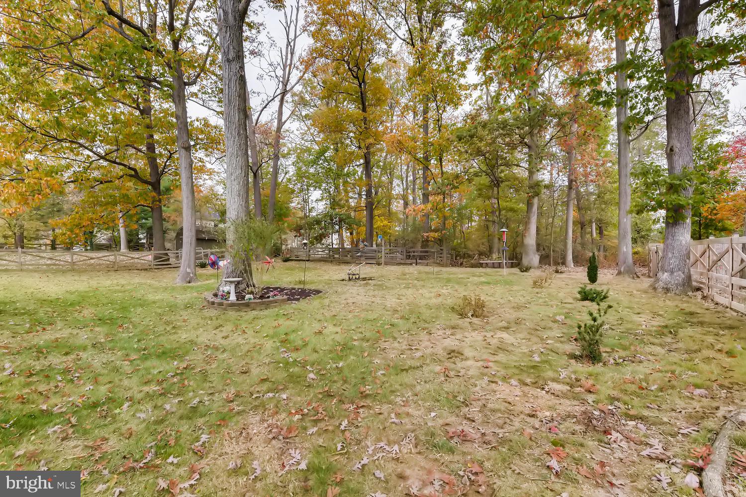 CARDINAL FOREST - Residential