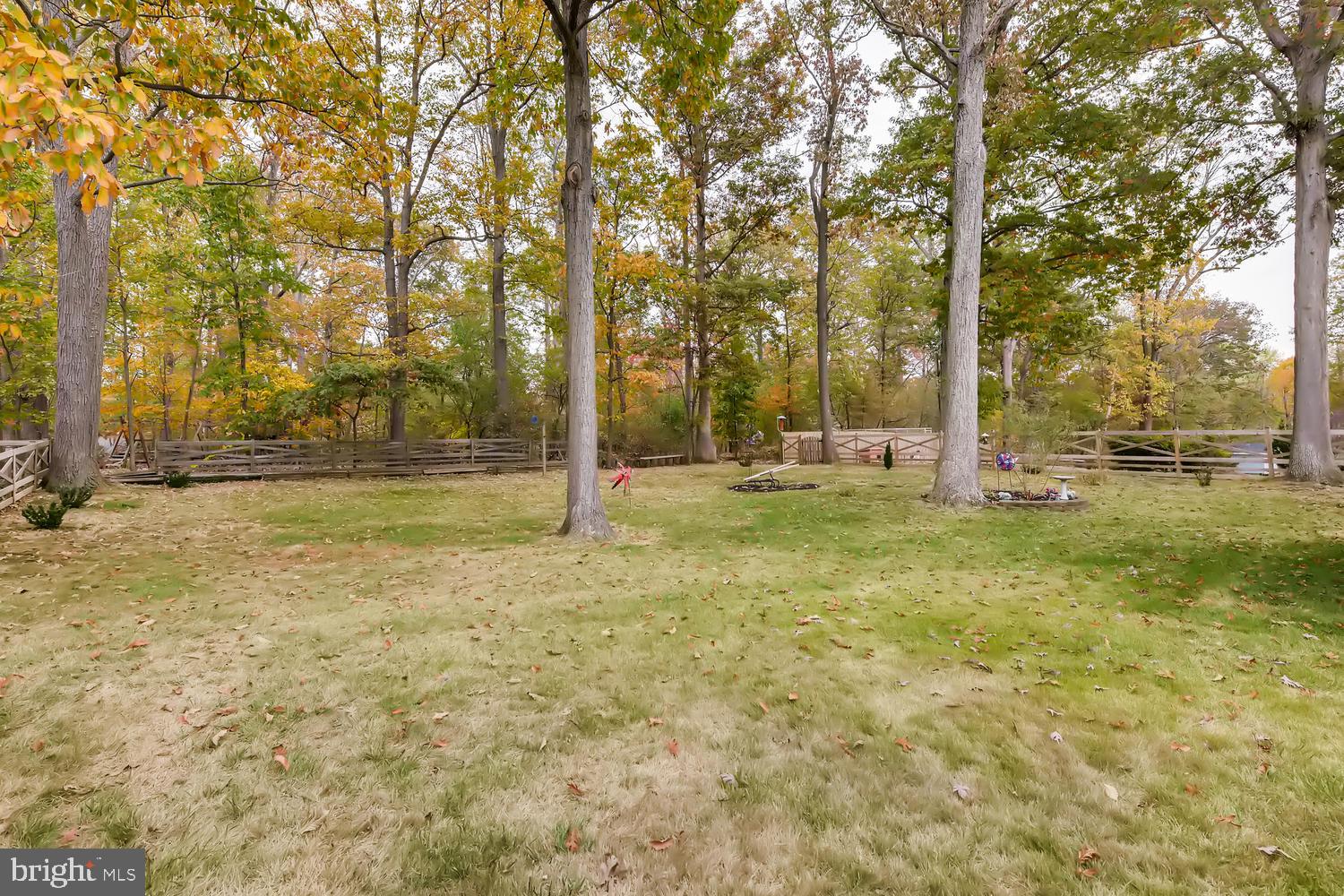 CARDINAL FOREST - Residential