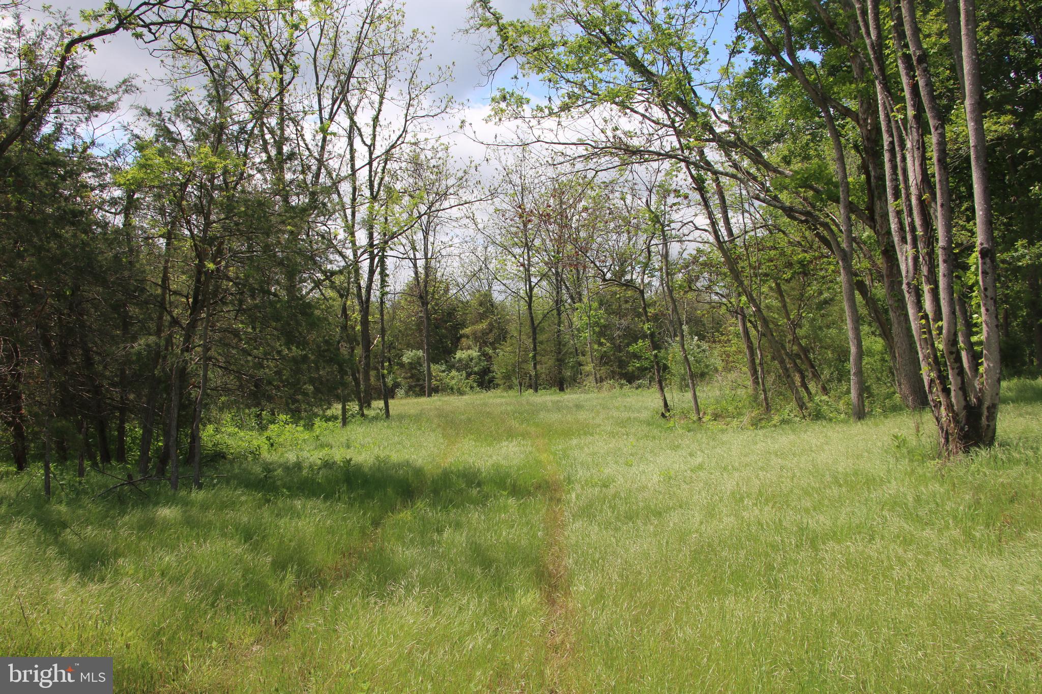 RIDGE HOLLOW ROAD