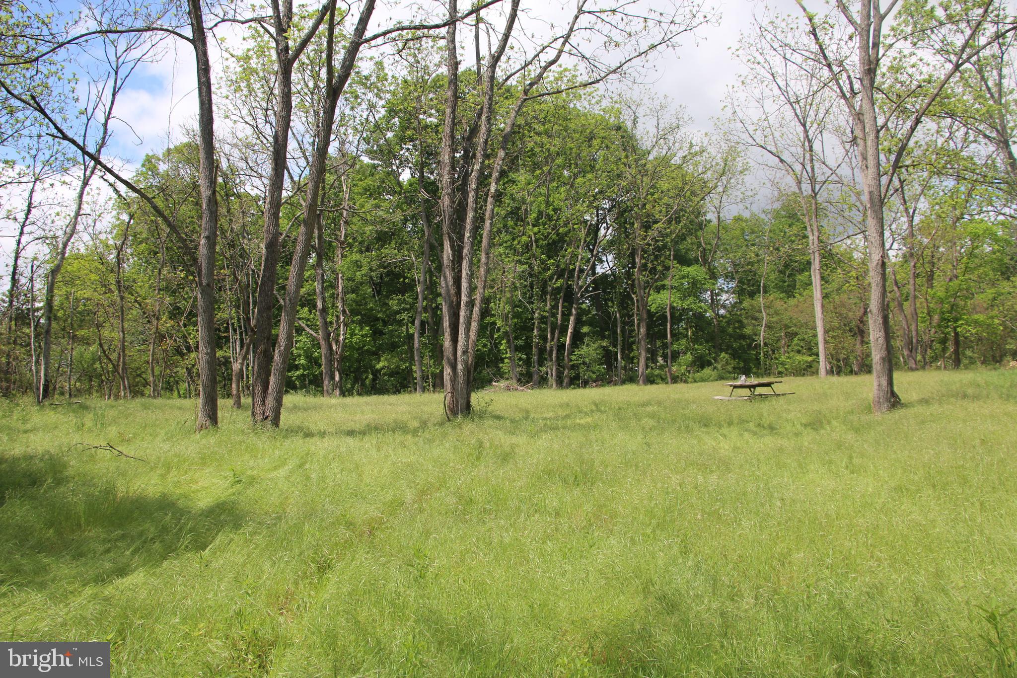 RIDGE HOLLOW ROAD
