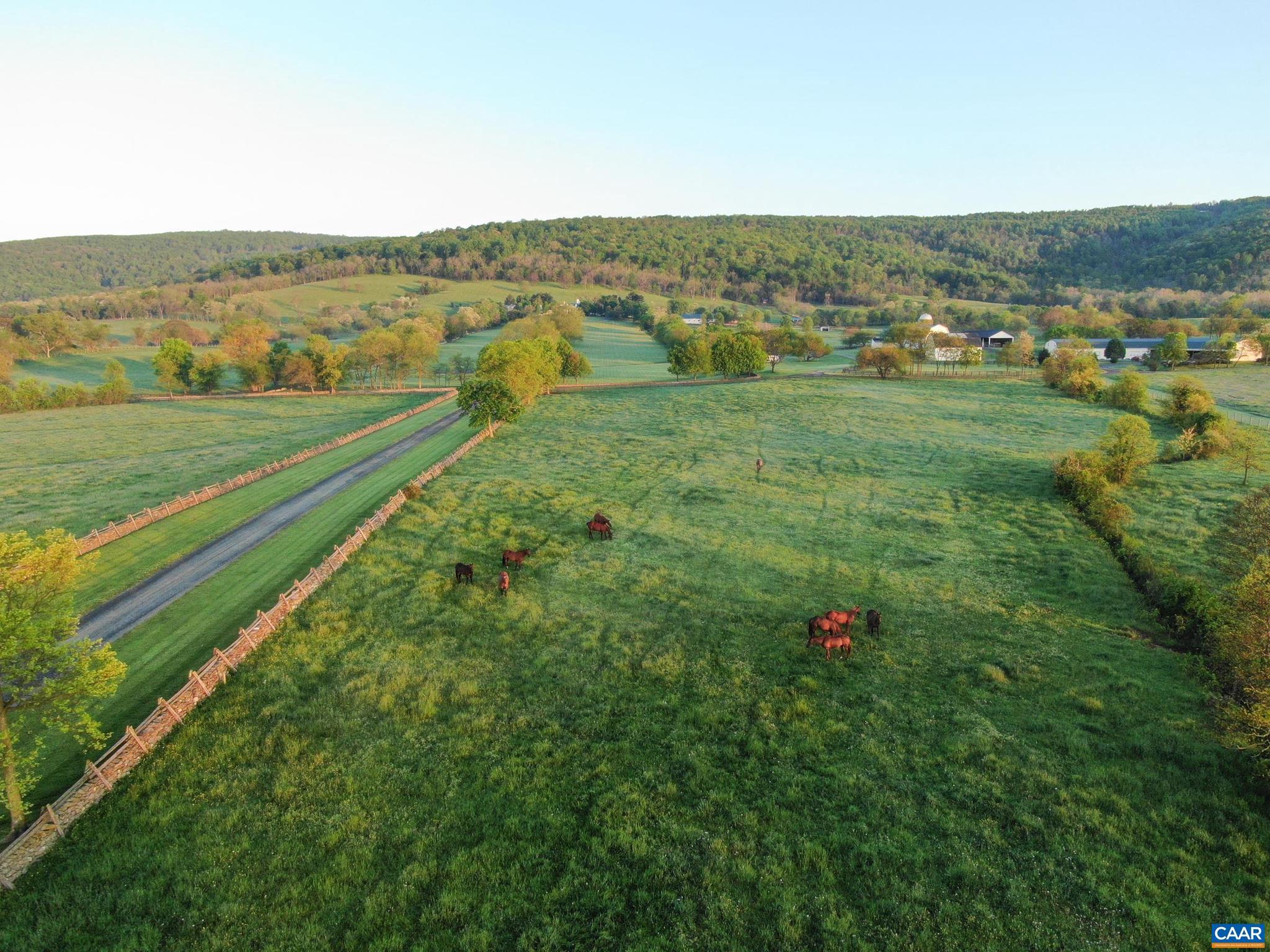 NONE AVAILABLE - Farm