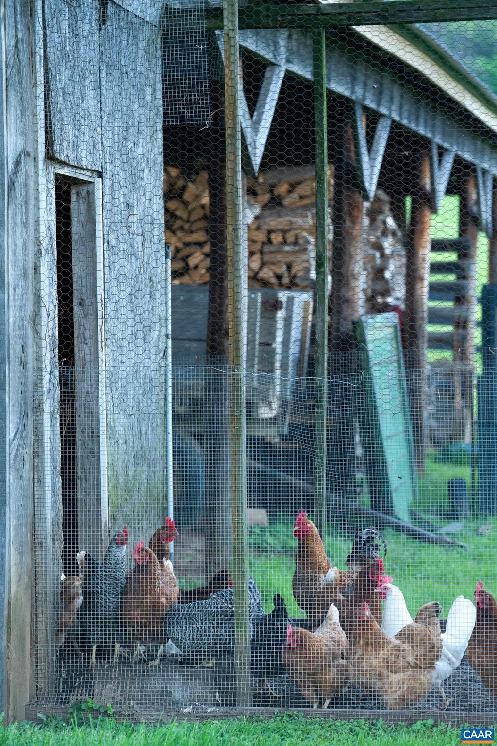 NONE AVAILABLE - Farm