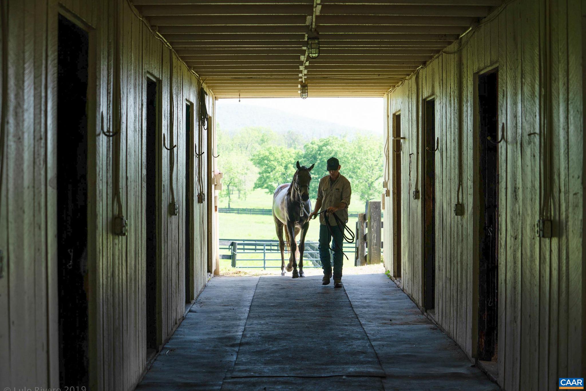 NONE AVAILABLE - Farm