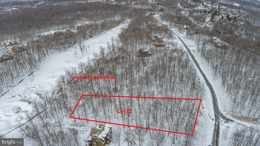 Beautiful Wooded Building Lot adjoining Lodestone Golf Course - The private wooded parcel offers nearly a full acre of level building space and backs directly up to Hole #6's green at Lodestone Golf Course! Located in McHenry MD, you're minutes from local establishments, state parks, and Deep Creek Lake. Less than a mile from the slopes at WISP Resort, your future dream home is perched perfectly to enjoy every season. Public utilities to site and ready to build - Call today for details!