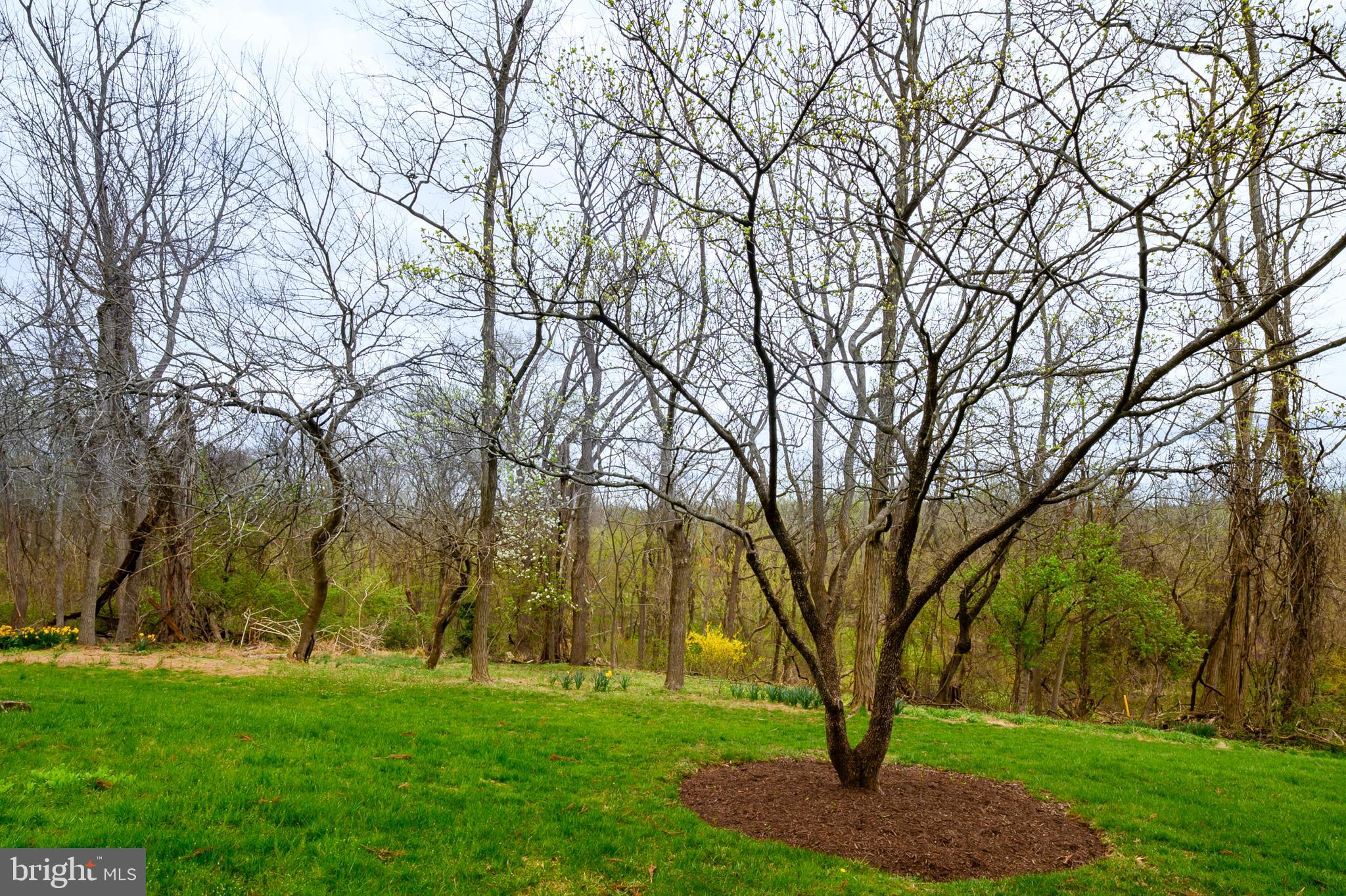VANTAGE POINT - Residential