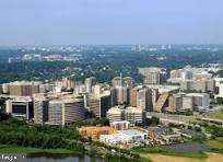 STONEGATE - Residential Lease