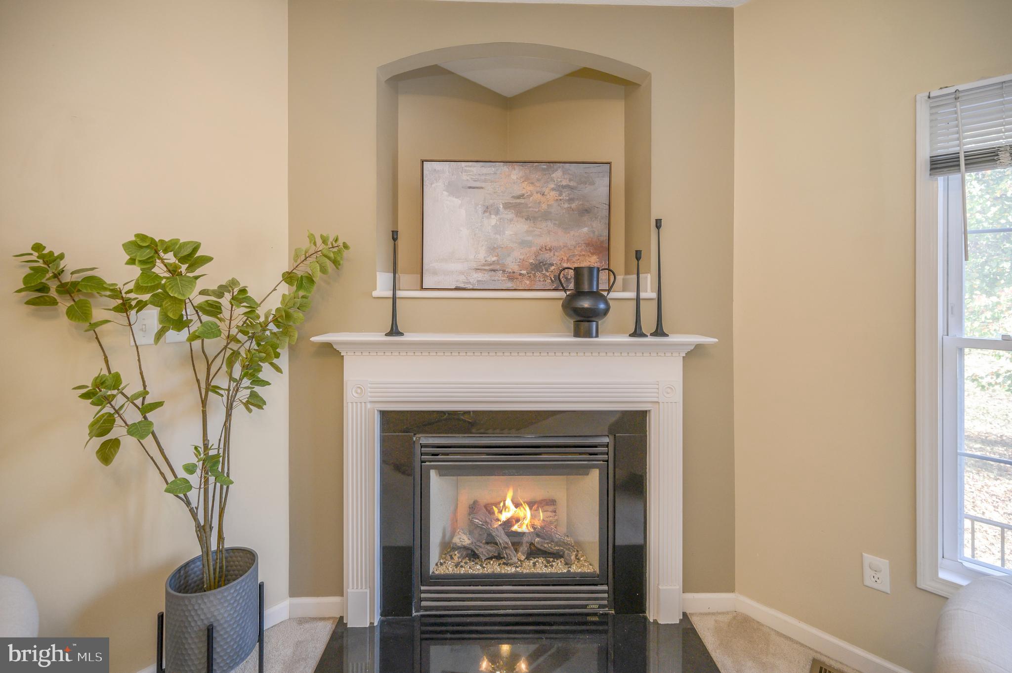 WIDEWATER VILLAGE - Residential