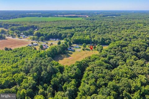 Vacant Land For Sale - 8883 Willow Grove Road<br/> CAMDEN WYOMING, DE 19934