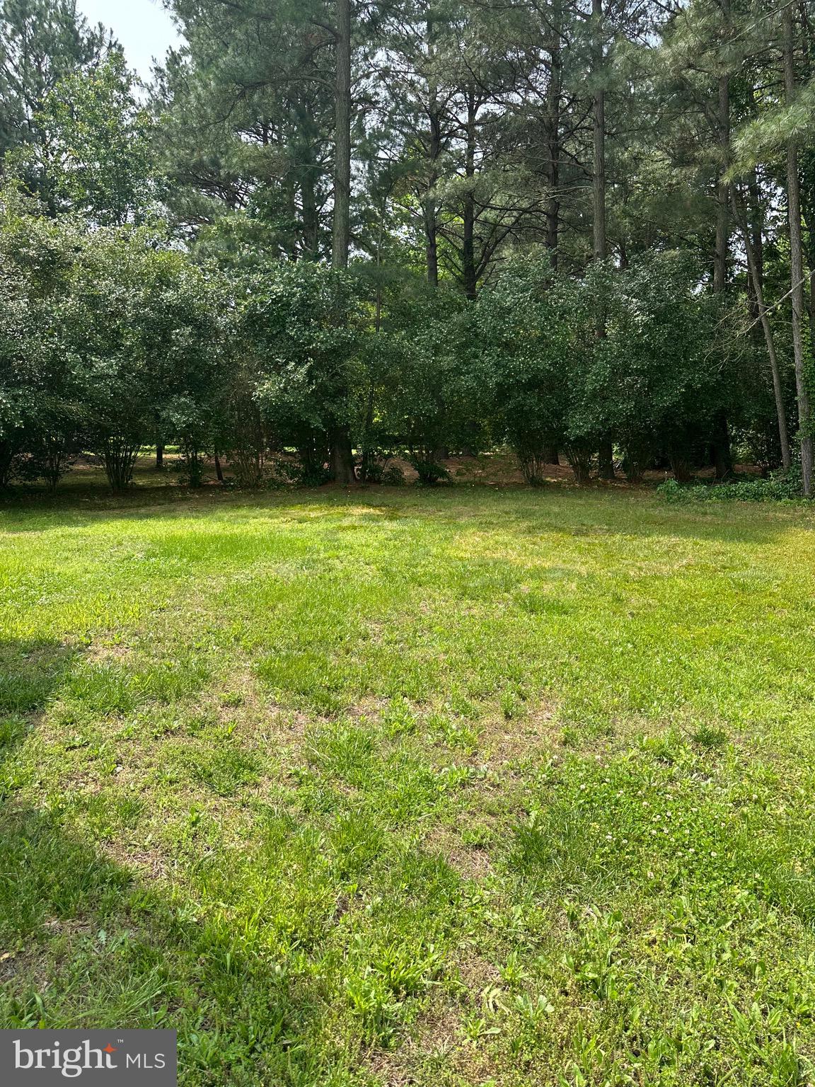 HARBOR POINTE - Residential