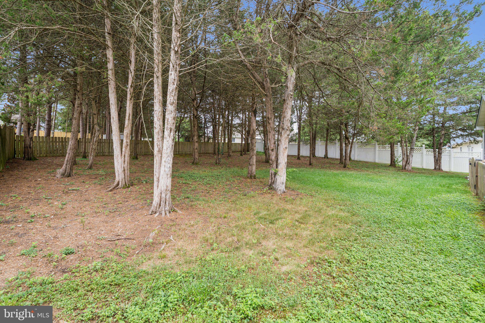 SENSENY GLEN - Residential Lease