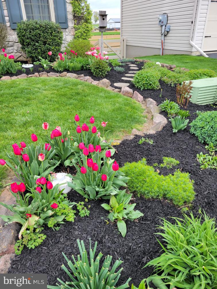 CHELTENHAM - Residential