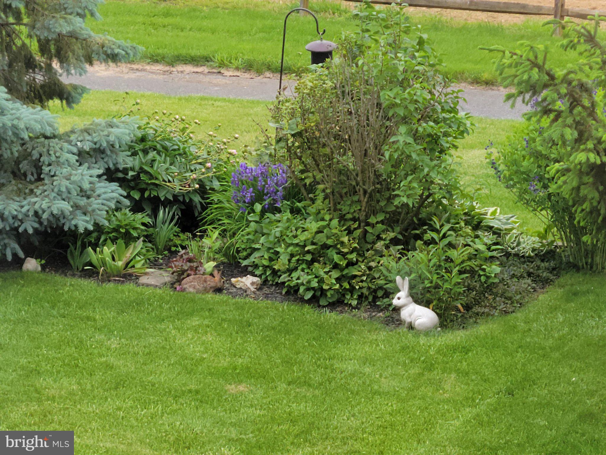 CHELTENHAM - Residential