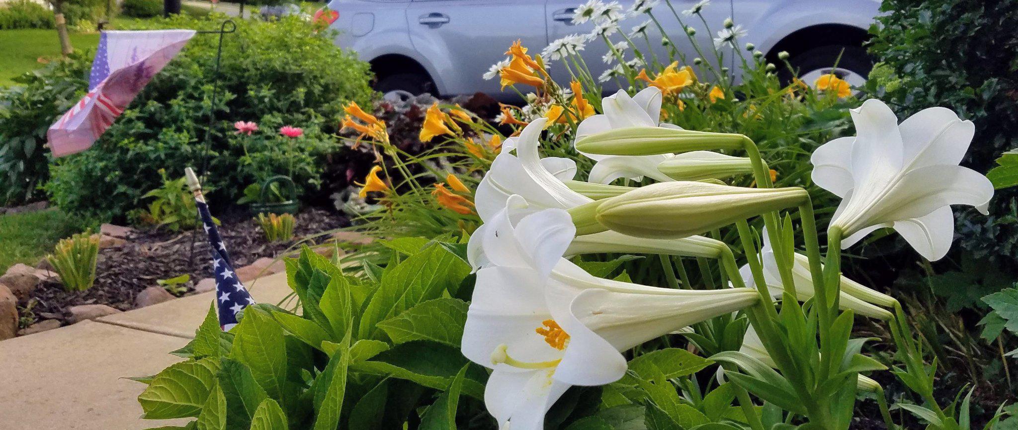 CHELTENHAM - Residential