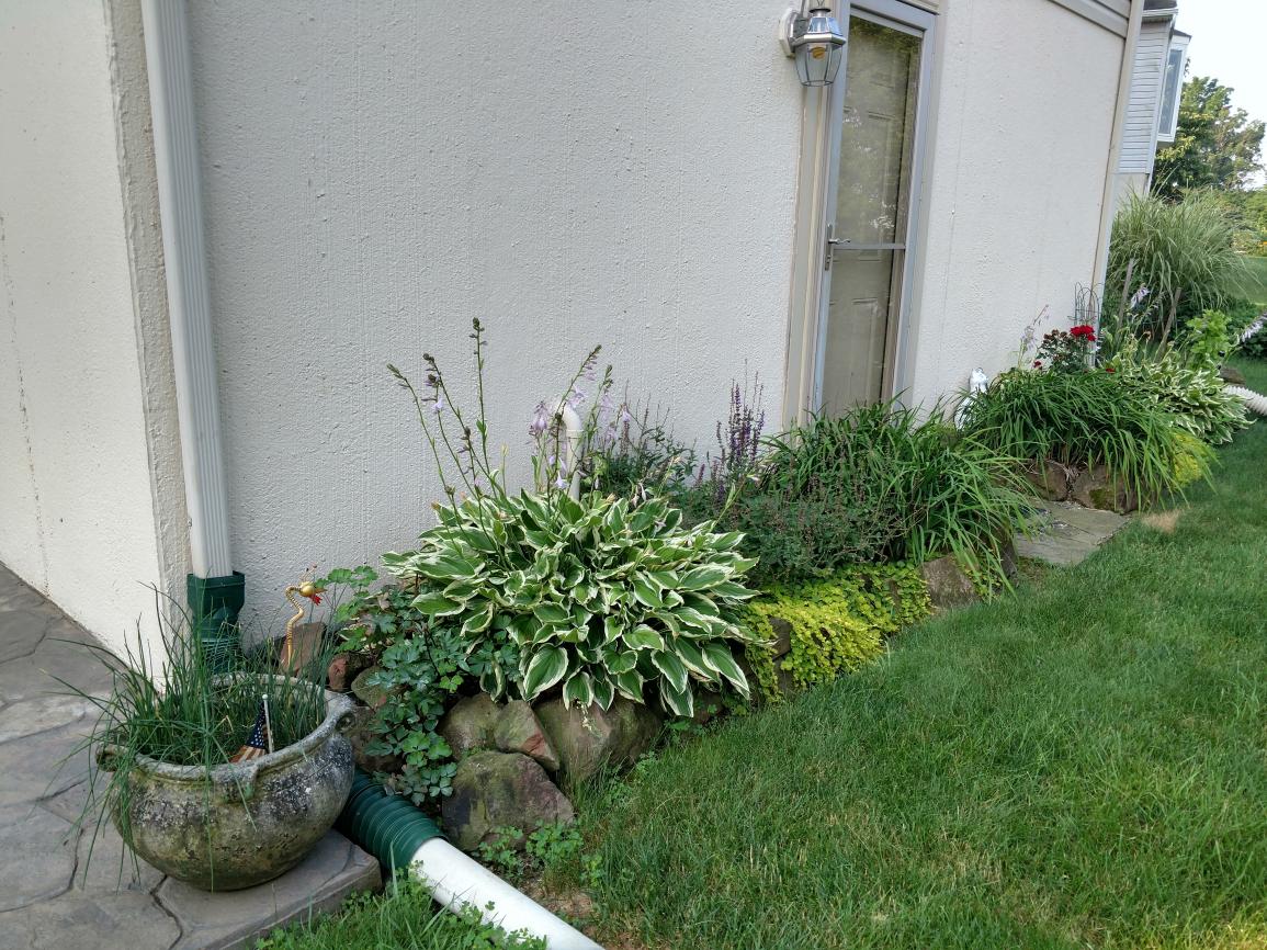 CHELTENHAM - Residential