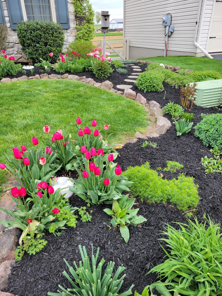 CHELTENHAM - Residential