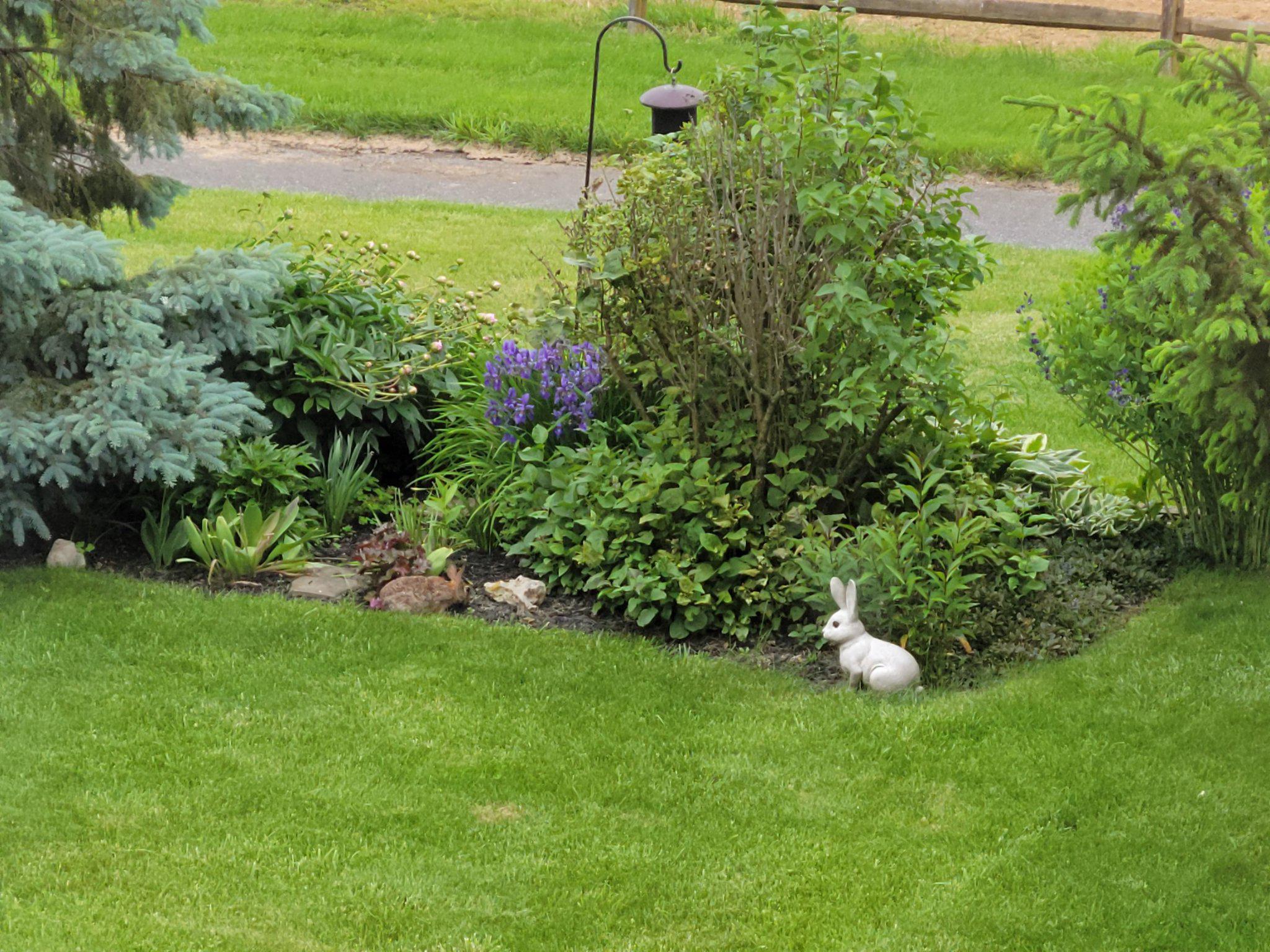 CHELTENHAM - Residential