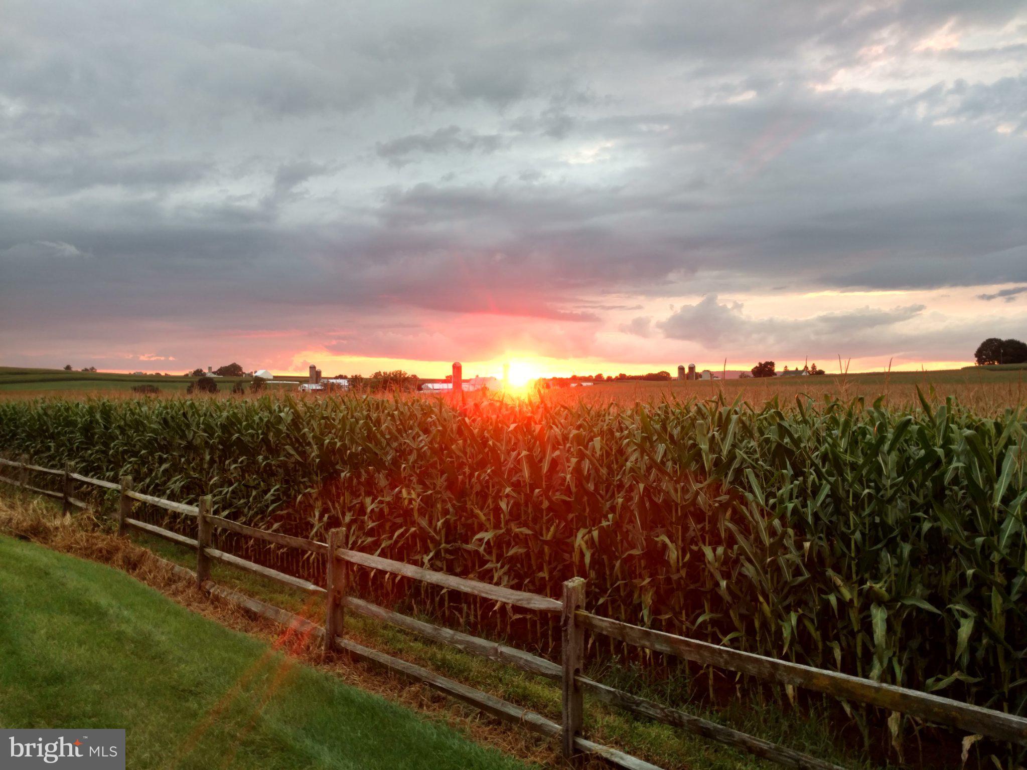 CHELTENHAM - Residential