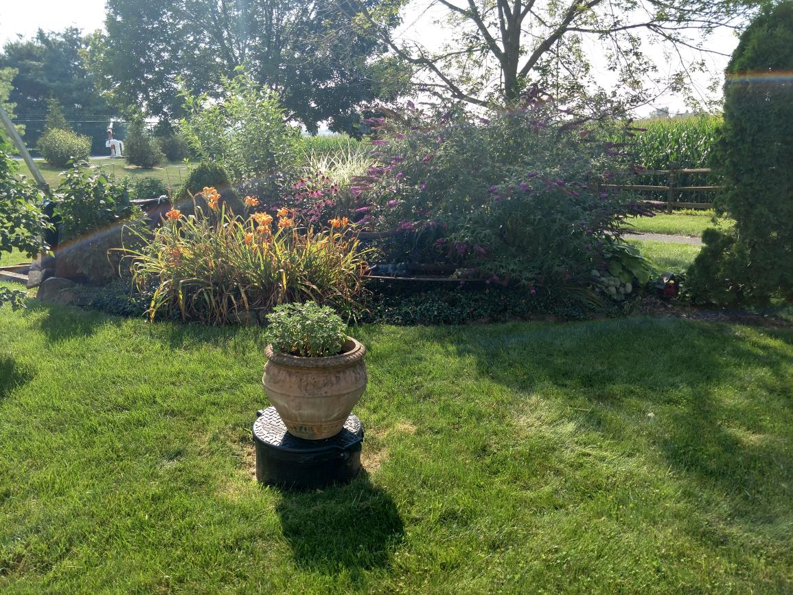 CHELTENHAM - Residential