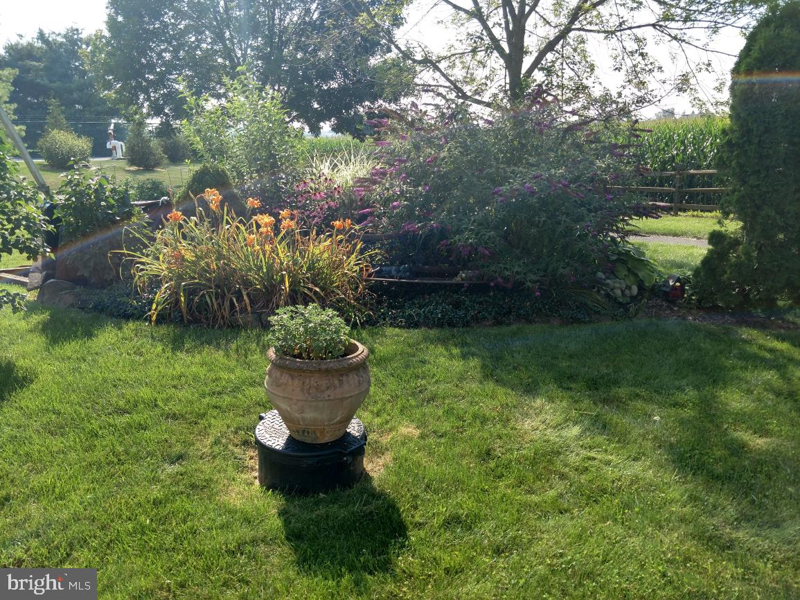 CHELTENHAM - Residential