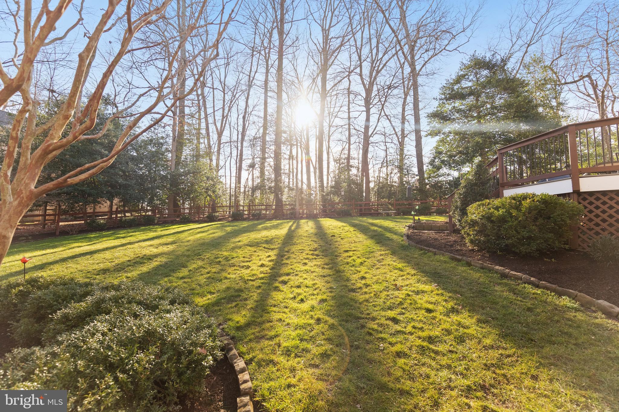 SHADETREE ESTATES - Residential