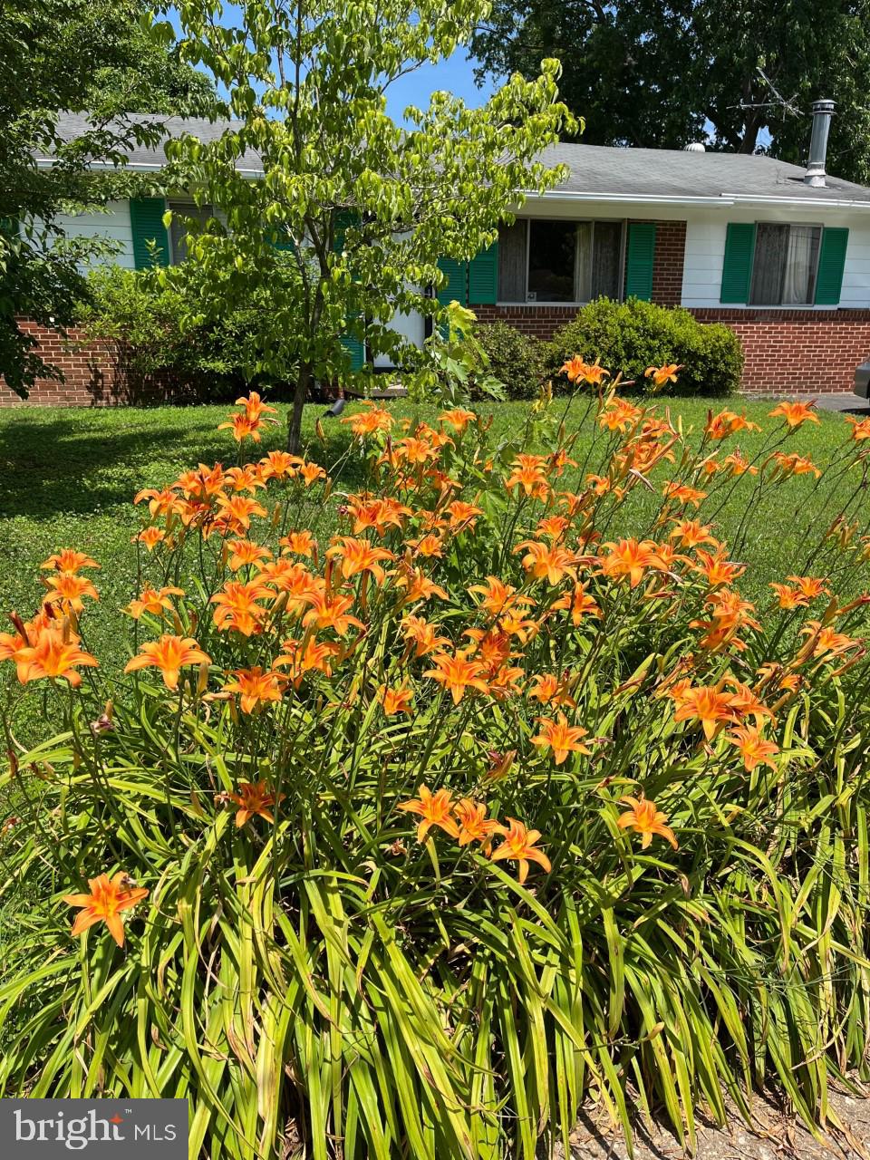 PRINCE WILLIAM ESTATES - Residential