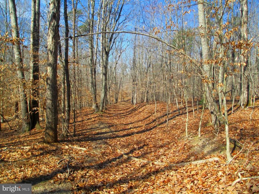 Bring your ATV.s and 4 Wheelers!! After, you buy this Land!  This is A2 zoned, 11.8 acres of Beauty, Imagination, and fun!! Yes, it can be Built on for your home in the Woods and Privacy+++. Close to Rt 64 for Richmond,  Charlottesville, or Zion Crossroads. Septic Work completed in 2014 and Easement Recorded.  Thanks To All That Had Interest in This Property!!!  Barb