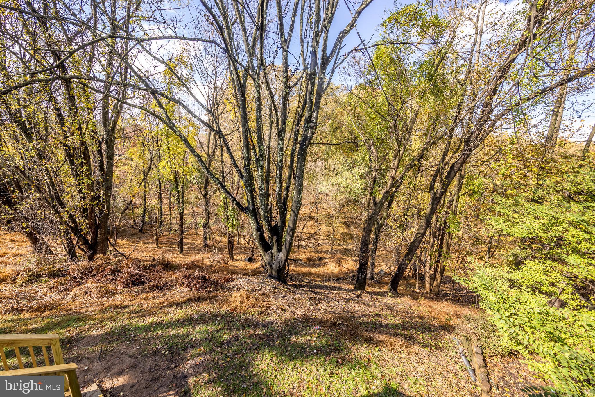 MAYS CHAPEL - Residential