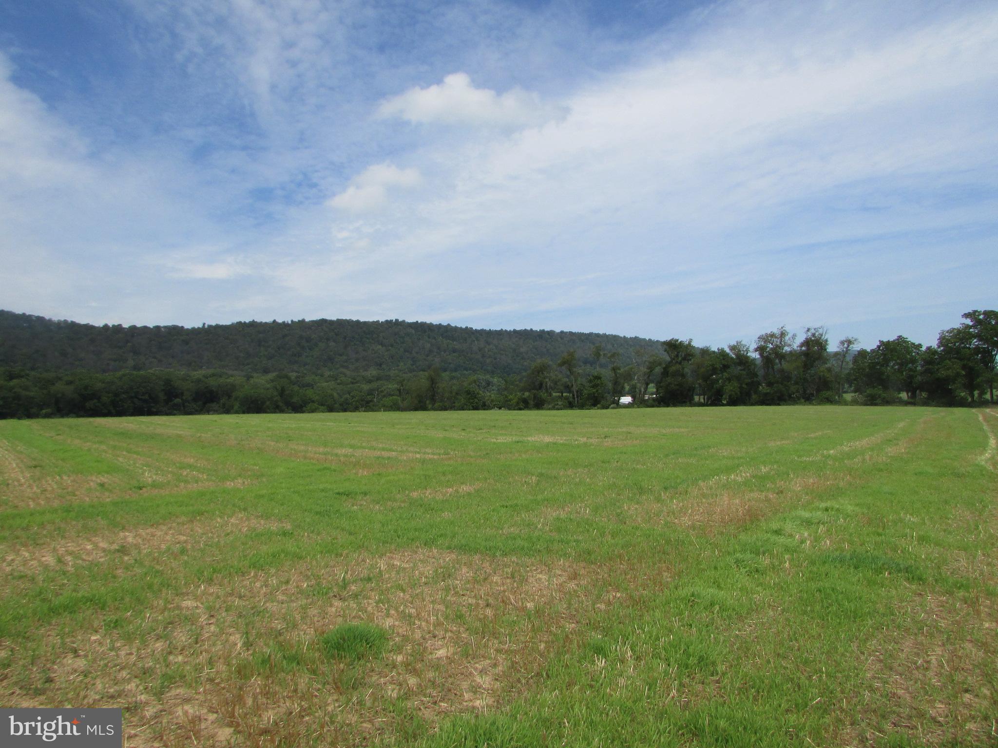 NONE AVAILABLE - Farm