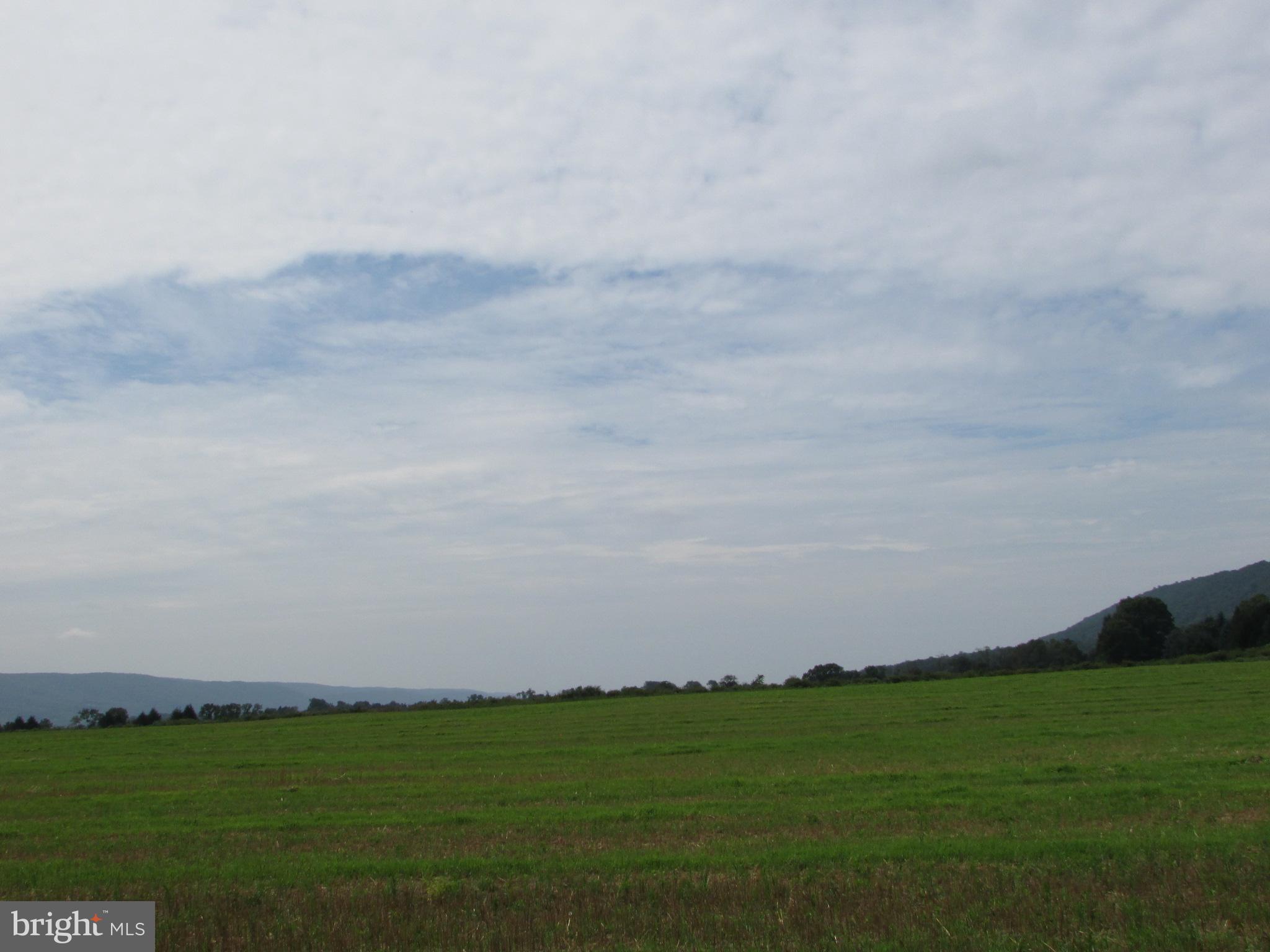 NONE AVAILABLE - Farm