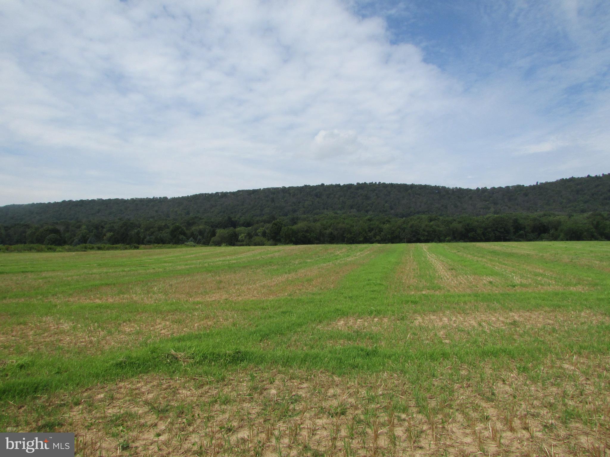 NONE AVAILABLE - Farm
