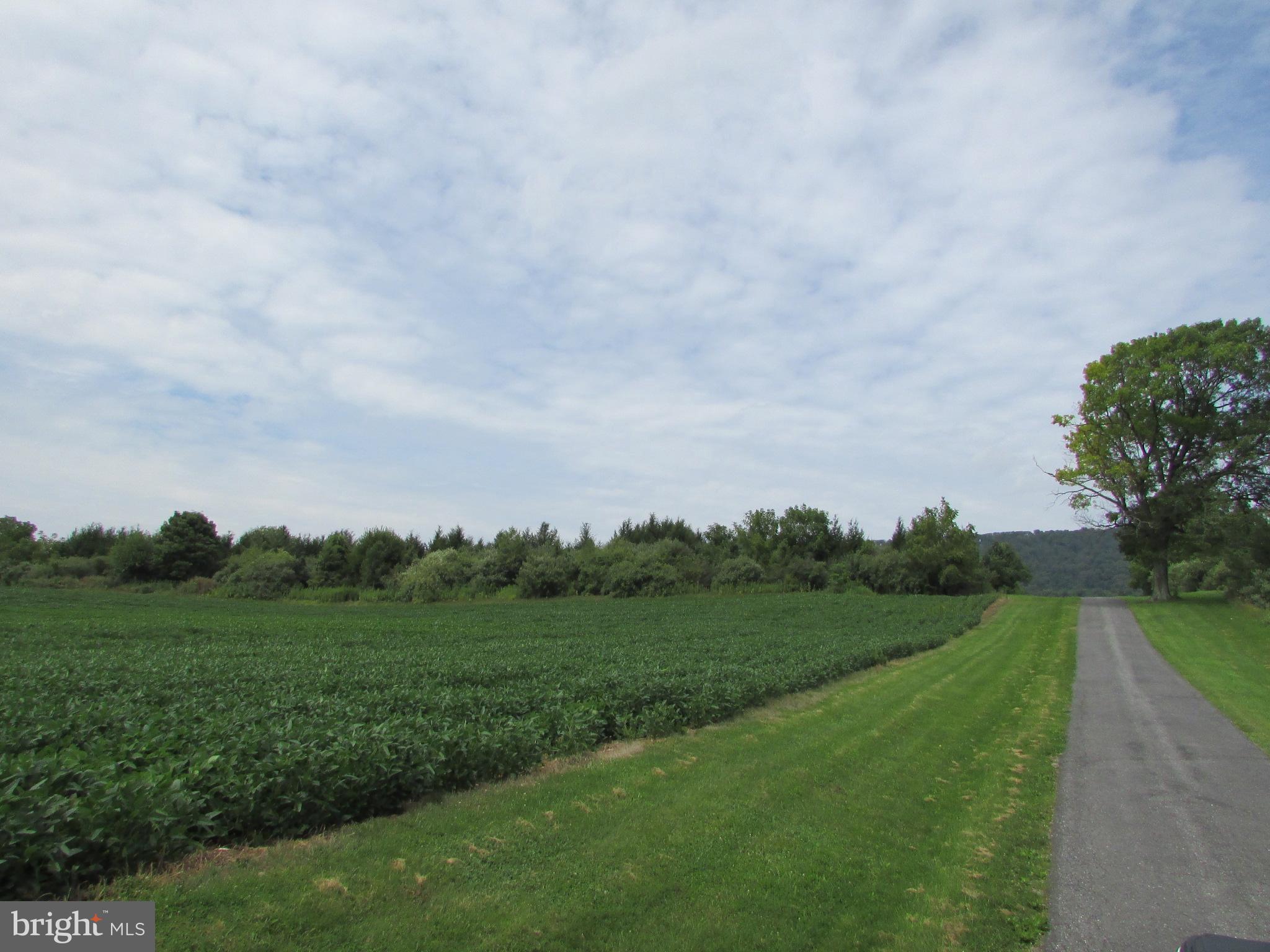 This beautiful 118.10 acre farm is now for sale in desirable Centre Hall. Enjoy the incredible views of the surrounding mountains and fields. 118.10 acres: 99.10 are tillable, 6.13 wooded, 1 base, and 11.87 are non-till. This amazing property is 7.2 miles from Penn State University, 9.2 miles from Bellefonte, 4.2 miles from Grange Fair grounds. Currently there are NOT any buildings on this property, so build your DREAM farm today!