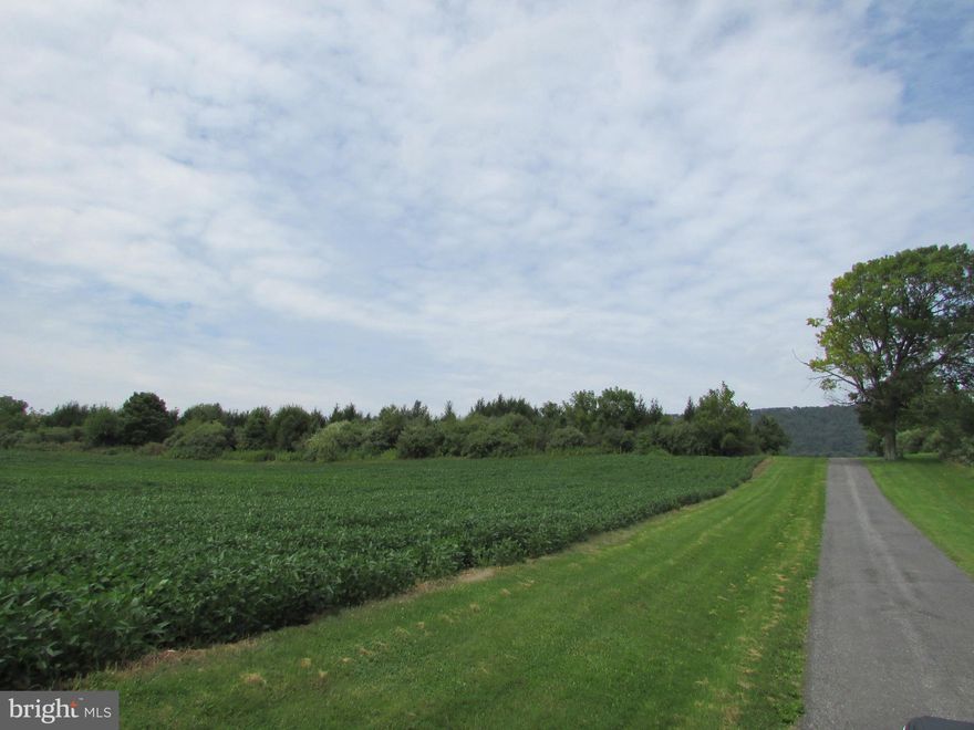 This beautiful 118.10 acre farm is now for sale in desirable Centre Hall. Enjoy the incredible views of the surrounding mountains and fields. 118.10 acres: 99.10 are tillable, 6.13 wooded, 1 base, and 11.87 are non-till. This amazing property is 7.2 miles from Penn State University, 9.2 miles from Bellefonte, 4.2 miles from Grange Fair grounds. Currently there are NOT any buildings on this property, so build your DREAM farm today!