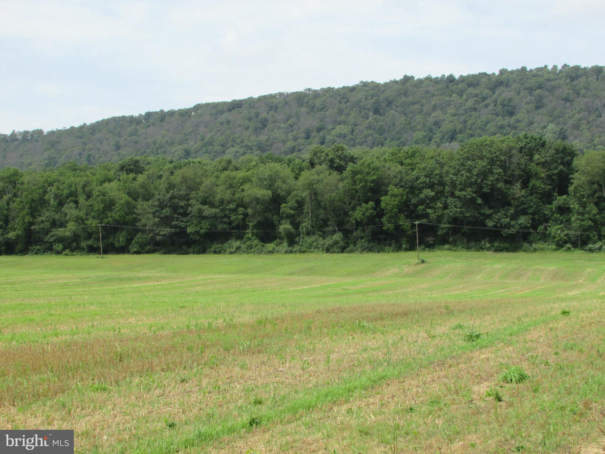NONE AVAILABLE - Farm