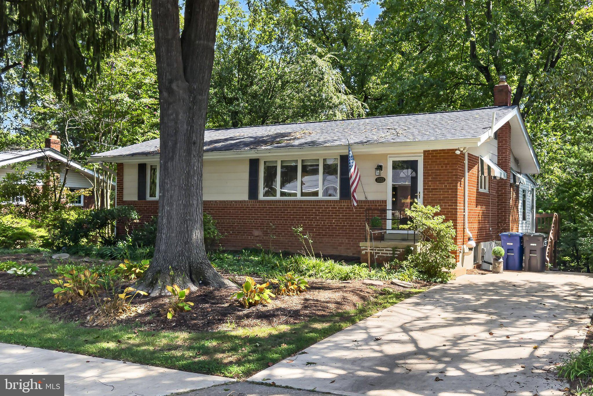 3523 JEAN STREET