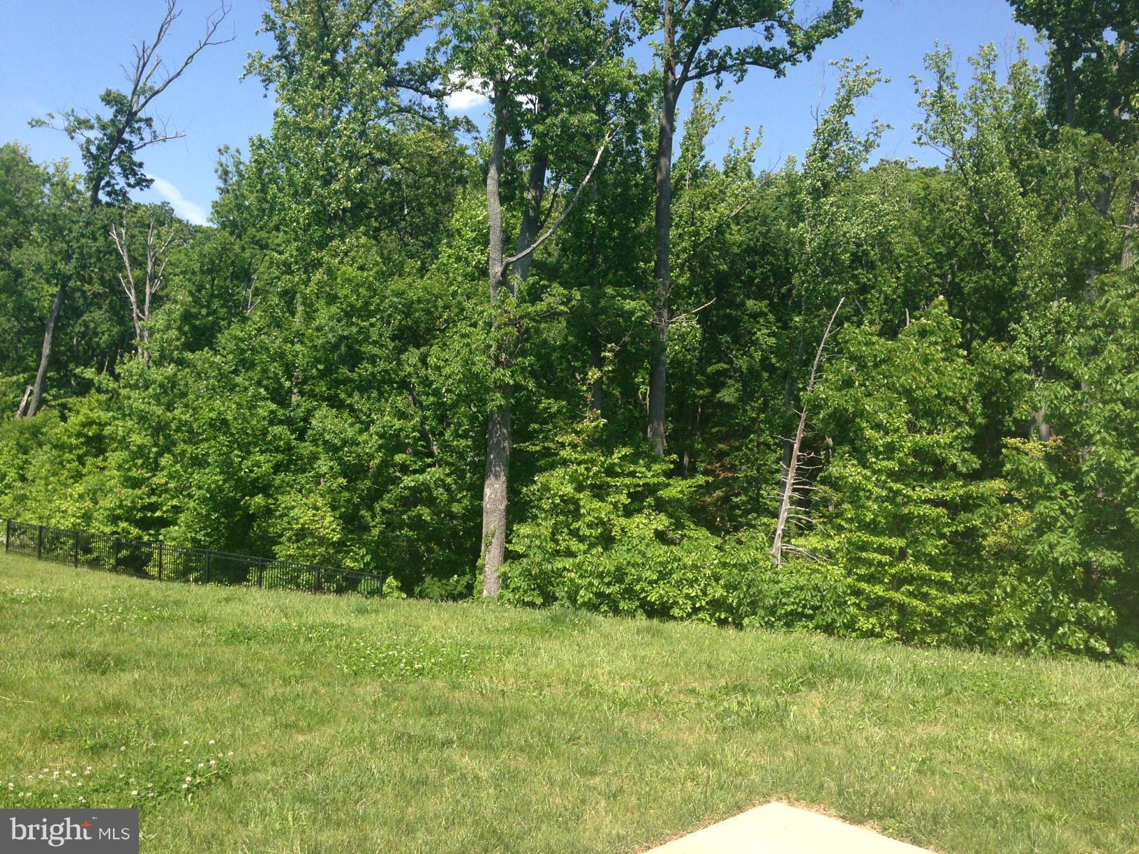 RIPPON LANDING - Residential Lease