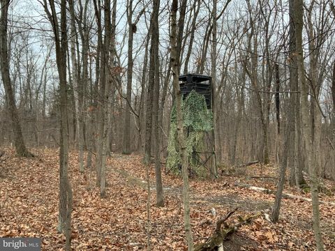 Vacant Land For Sale - LOT 33 Nestle Quarry Road<br/> Berkeley County, FALLING WATERS, WV 25419