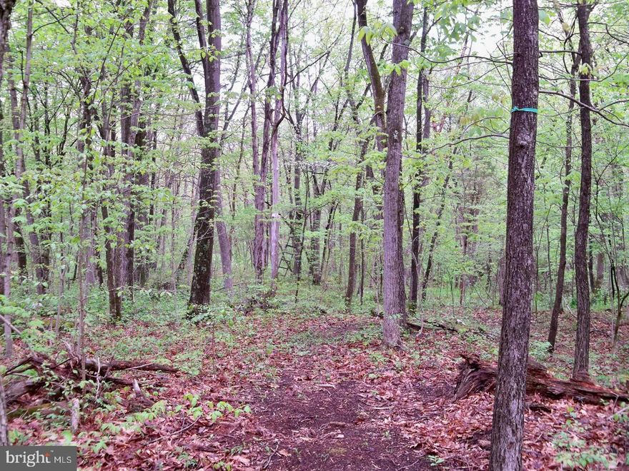 Wooded 9.86 acre lot, unrestricted. Lot was perked years ago.  Approximately 525 ft main road frontage (Nestle  Quarry Rd).  Potomac River is nearby and within minutes of shopping, I-81, I-70 (only 10 mins to Hagerstown, 15 mins to MARC train in Martinsburg, 40 mins to Frederick, & 1.5 hrs to both DC & Baltimore).  Must see to appreciate!