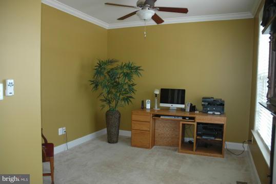 PEMBROOKE - Residential