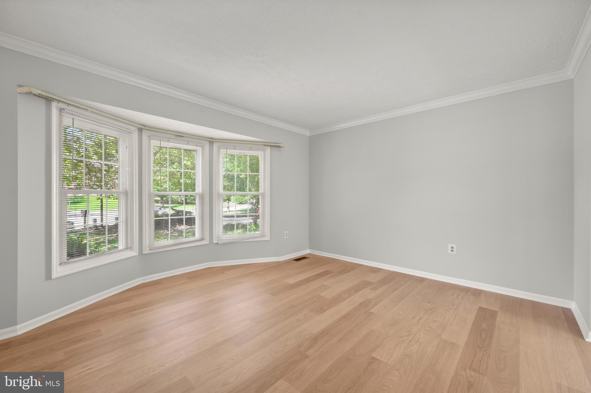 11913 PROCTOR COURT