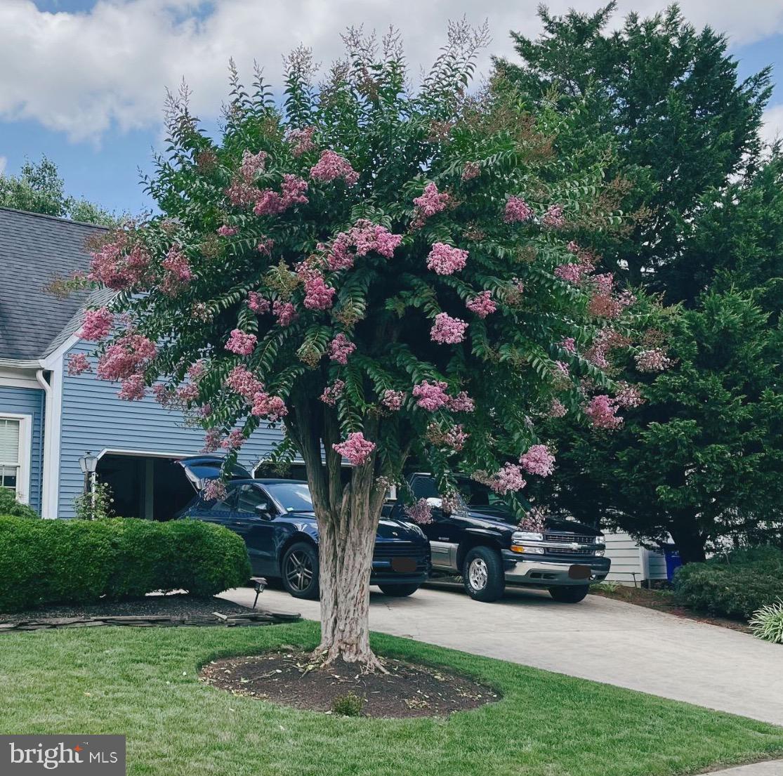 8804 NORTHERN SPRUCE LANE