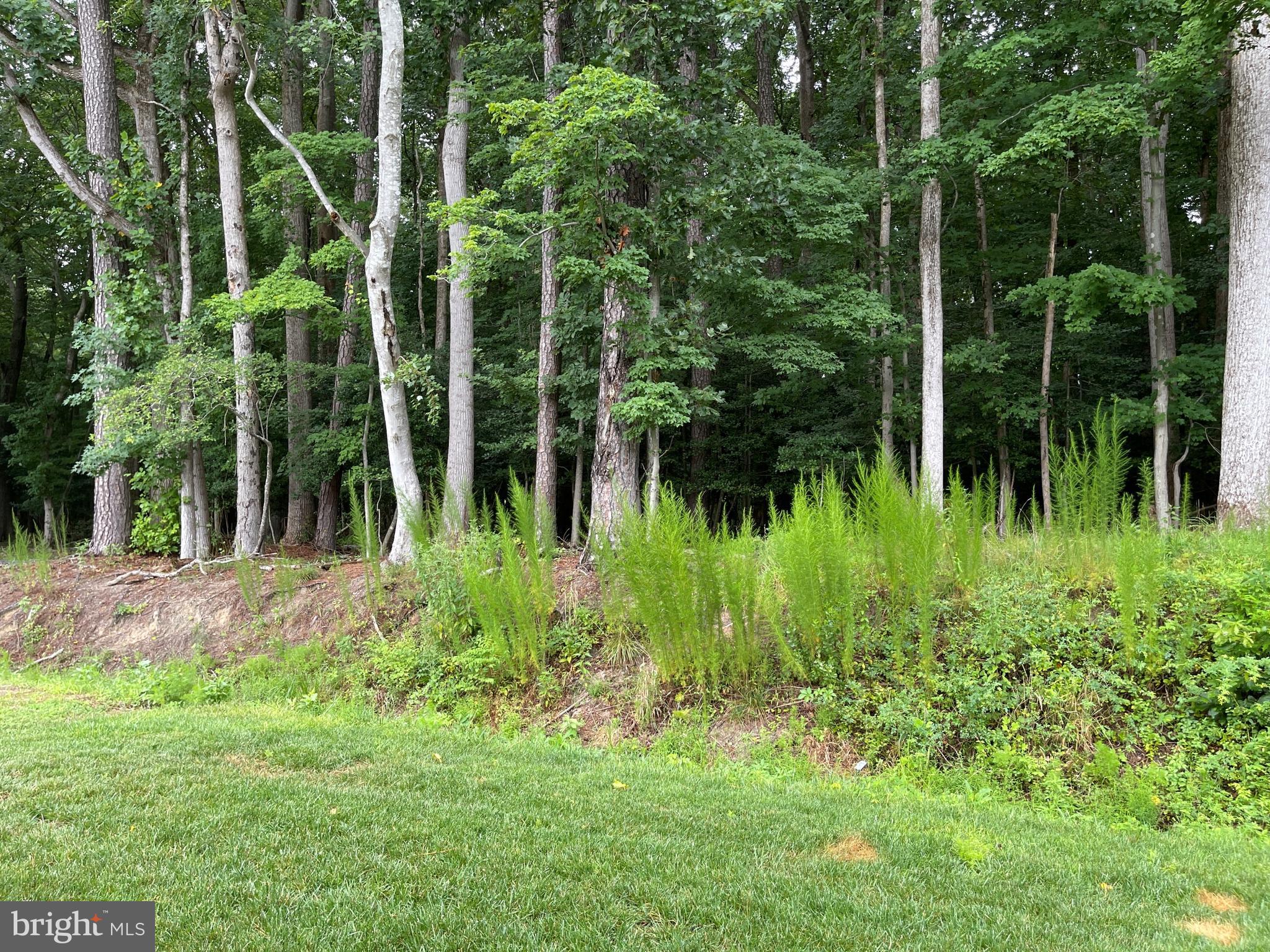 RIVER RUN - Residential