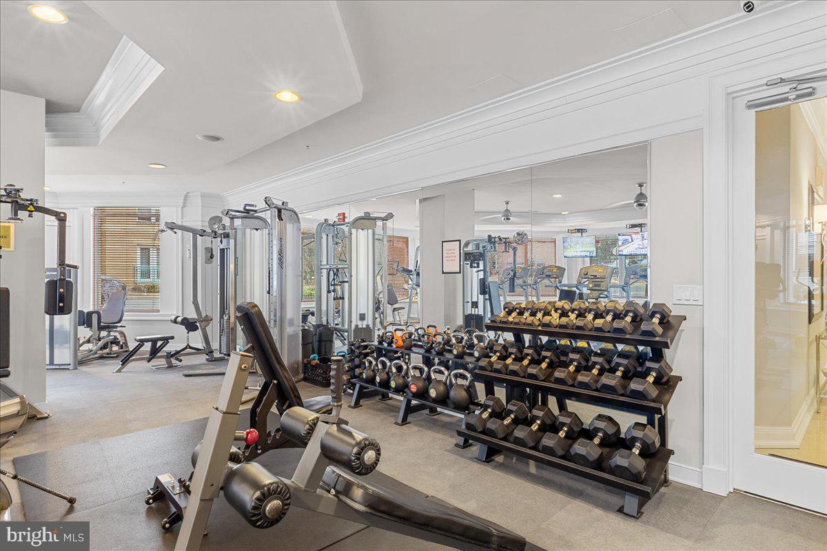 SAVOY AT RESTON TOWN CENTER - Residential