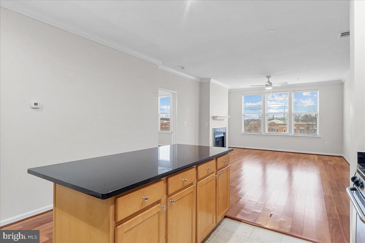 SAVOY AT RESTON TOWN CENTER - Residential