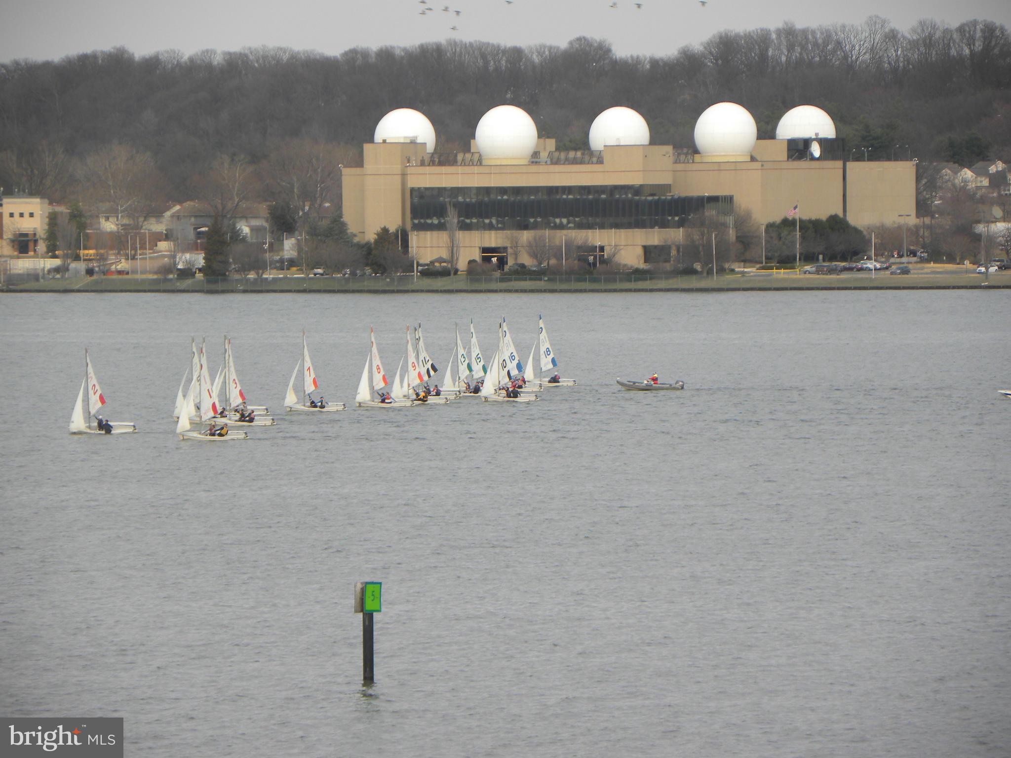 MARINA TOWERS - Residential Lease