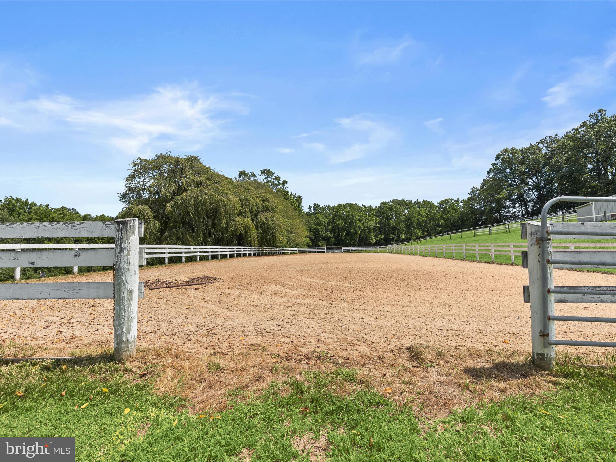 NONE AVAILABLE - Farm