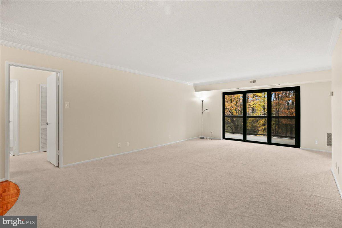 203 YOAKUM PARKWAY 519