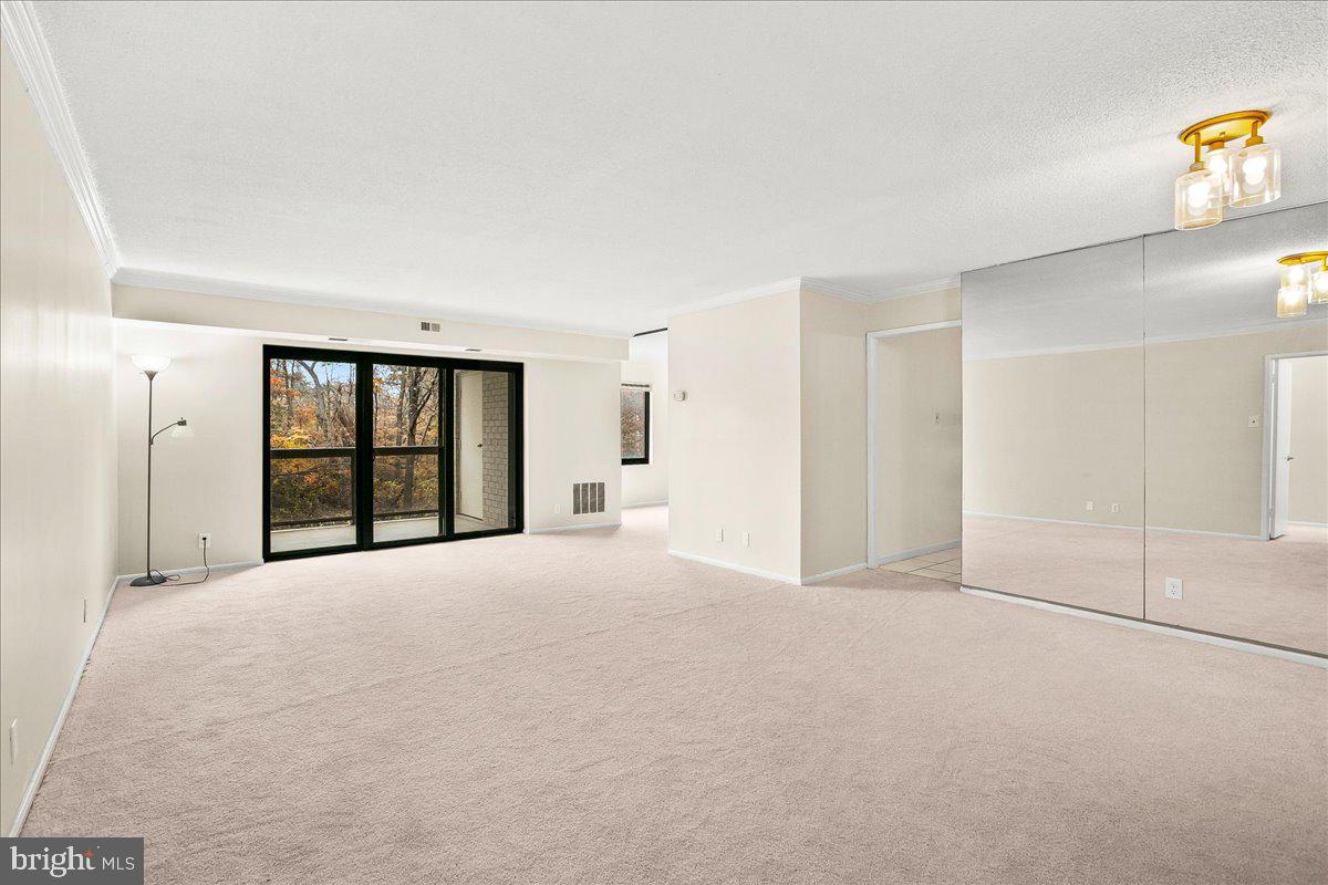 203 YOAKUM PARKWAY 519