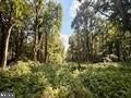 1028 BLANCHE FULLMER ROAD